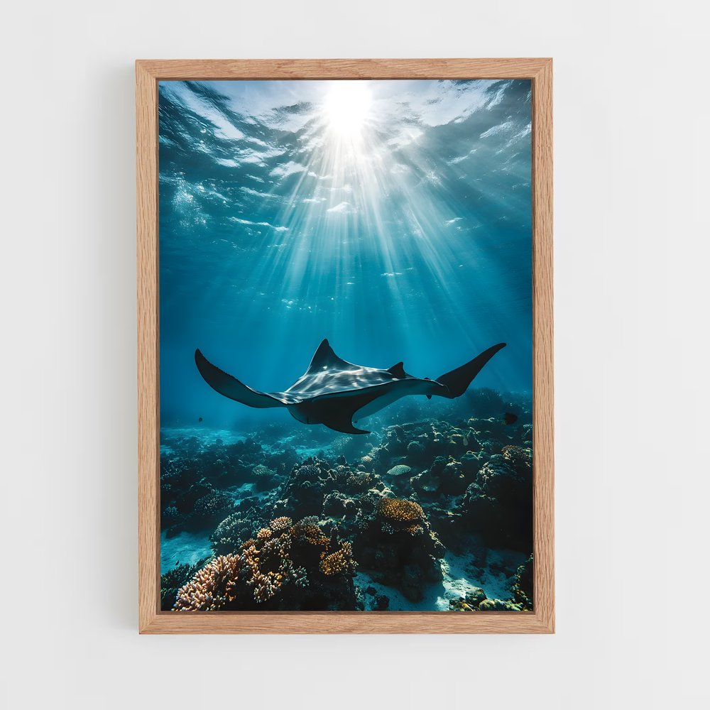 Poster Maldives diving – affiche Plongée sous-marine (vue 4)